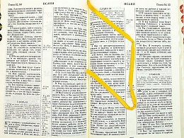 Библия в кожаном переплете, канонические книги, синодальный перевод, золотой обрез с указателями (арт.17397)
